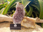 Natural Amethyst Agate Geode Plates x 2 From Zululand, South Africa - Toprock Gemstones and Minerals 