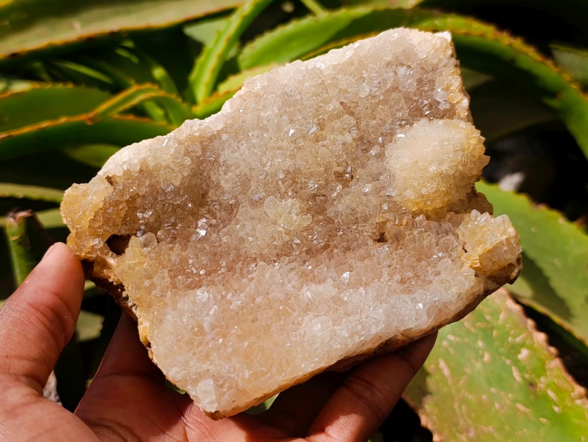 Natural Amethyst Agate Geode Plates x 2 From Zululand, South Africa