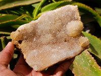 Natural Amethyst Agate Geode Plates x 2 From Zululand, South Africa