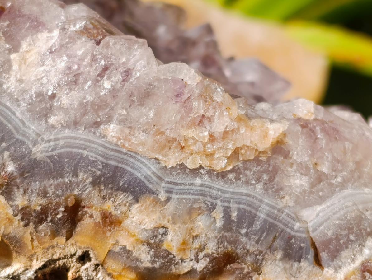 Natural Amethyst Agate Geode Plates x 2 From Zululand, South Africa - Toprock Gemstones and Minerals 