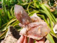 Natural Red Hematoid Quartz Crystal Clusters x 6 From Karoi, Zimbabwe