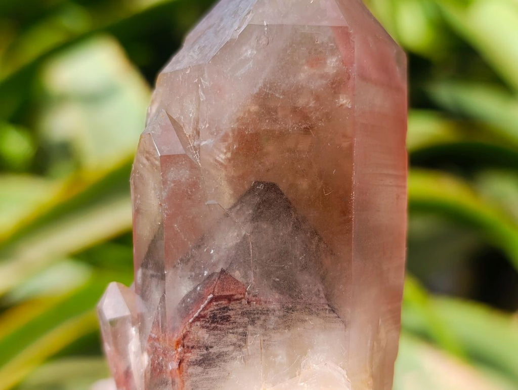 Natural Red Hematoid Quartz Crystal Clusters x 6 From Karoi, Zimbabwe