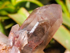 Natural Red Hematoid Quartz Crystal Clusters x 6 From Karoi, Zimbabwe