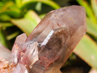 Natural Red Hematoid Quartz Crystal Clusters x 6 From Karoi, Zimbabwe