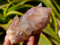 Natural Red Hematoid Quartz Crystal Clusters x 6 From Karoi, Zimbabwe