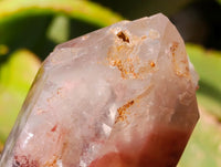Natural Red Hematoid Quartz Crystal Clusters x 6 From Karoi, Zimbabwe