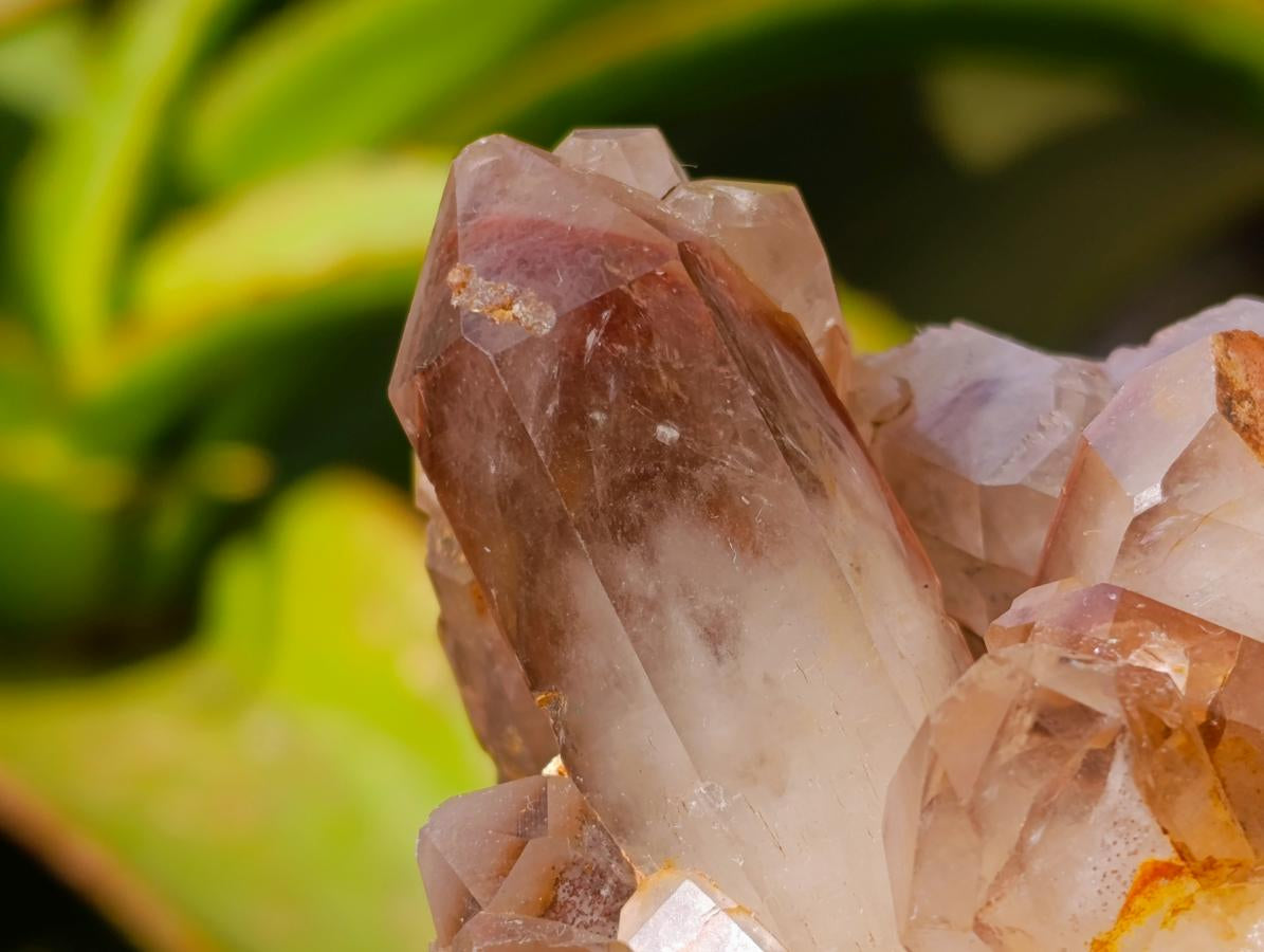 Natural Red Hematoid Quartz Crystal Clusters x 6 From Karoi, Zimbabwe