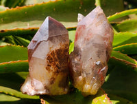 Natural Red Hematoid Quartz Crystal Clusters x 6 From Karoi, Zimbabwe