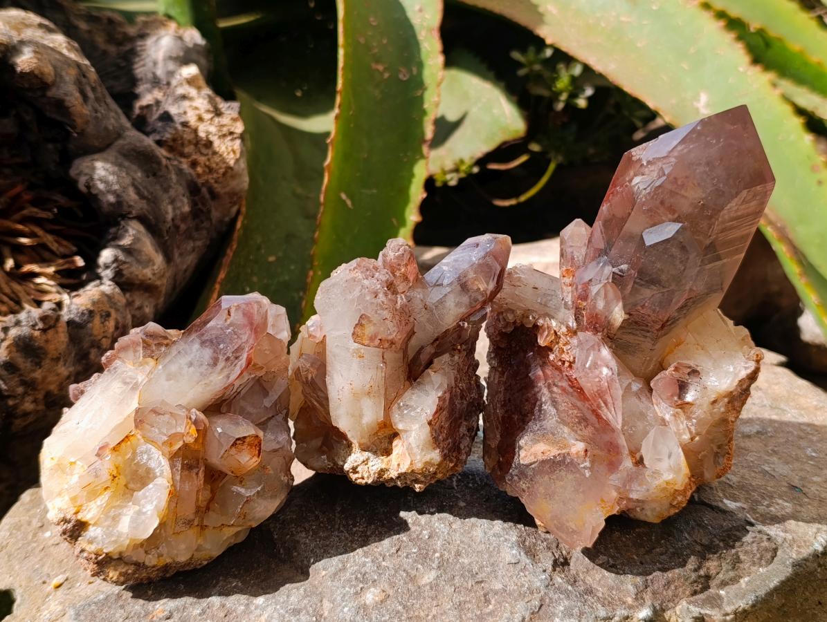 Natural Red Hematoid Quartz Crystal Clusters x 6 From Karoi, Zimbabwe