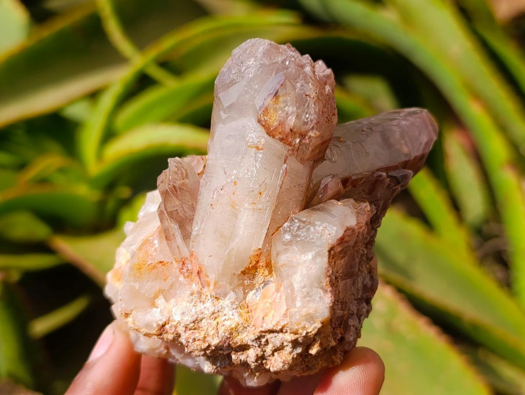 Natural Red Hematoid Quartz Crystal Clusters x 6 From Karoi, Zimbabwe