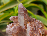 Natural Red Hematoid Quartz Crystal Clusters x 6 From Karoi, Zimbabwe