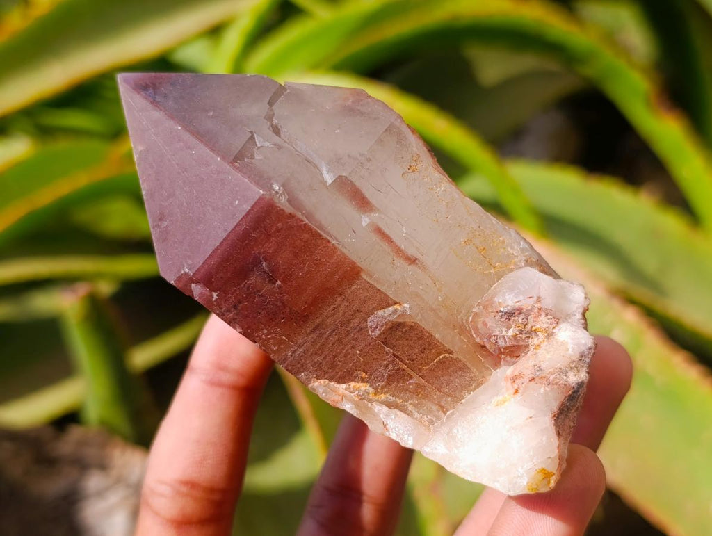 Natural Red Hematoid Quartz Crystal Clusters x 6 From Karoi, Zimbabwe