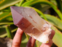 Natural Red Hematoid Quartz Crystal Clusters x 6 From Karoi, Zimbabwe