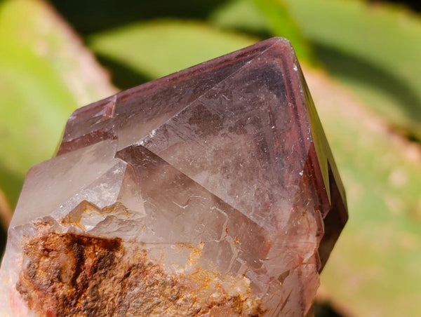 Natural Red Hematoid Quartz Crystal Clusters x 6 From Karoi, Zimbabwe