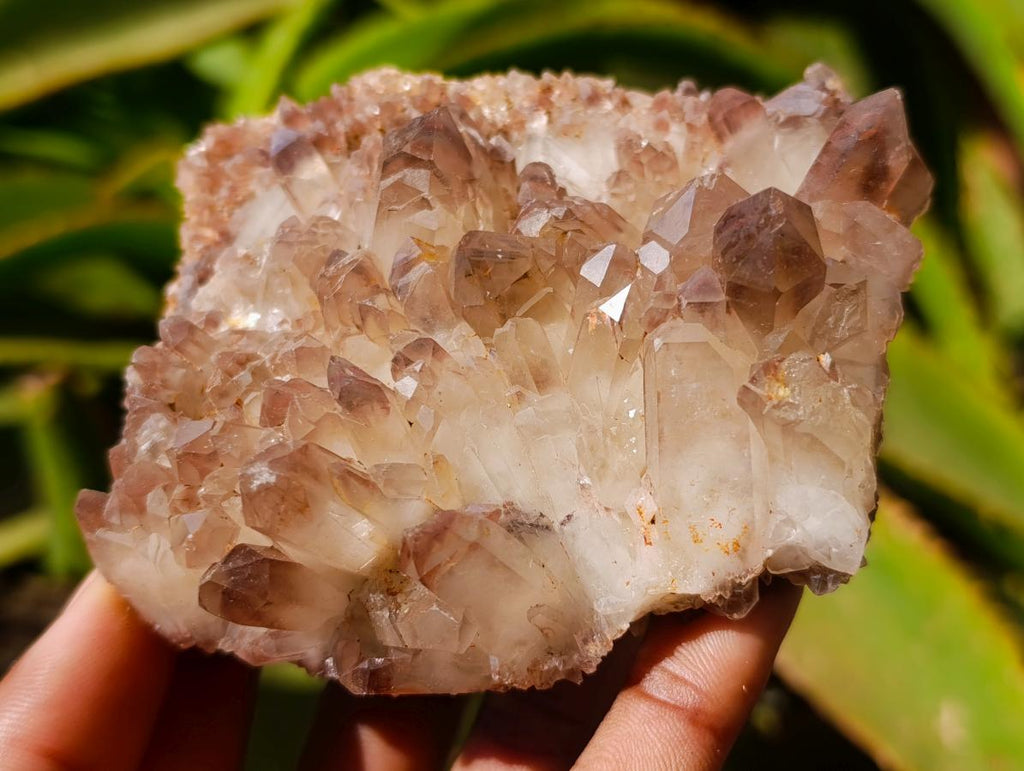 Natural Red Hematoid Quartz Crystal Clusters x 6 From Karoi, Zimbabwe