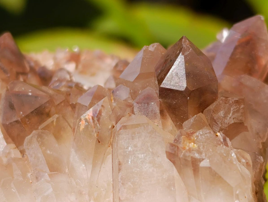 Natural Red Hematoid Quartz Crystal Clusters x 6 From Karoi, Zimbabwe