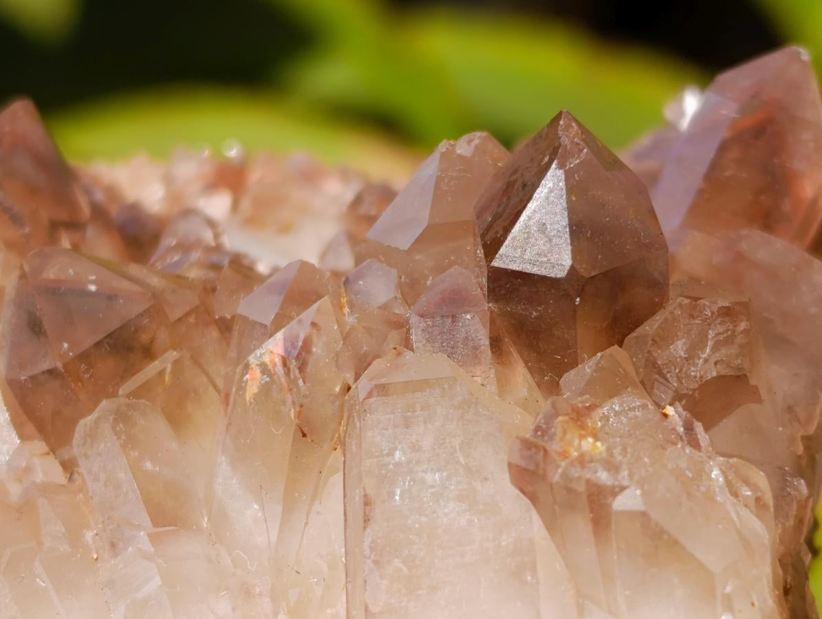 Natural Red Hematoid Quartz Crystal Clusters x 6 From Karoi, Zimbabwe