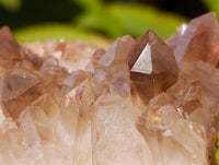 Natural Red Hematoid Quartz Crystal Clusters x 6 From Karoi, Zimbabwe