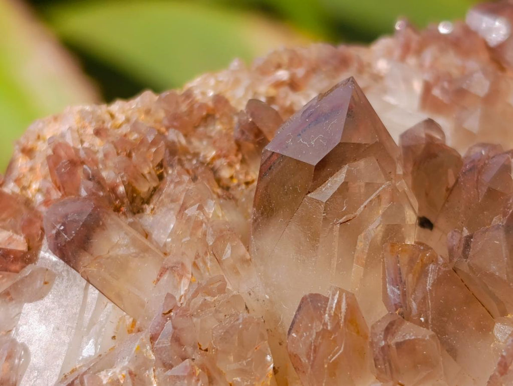 Natural Red Hematoid Quartz Crystal Clusters x 6 From Karoi, Zimbabwe