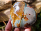 Polished Polychrome Jasper Hearts x 6 From NW Coast, Madagascar