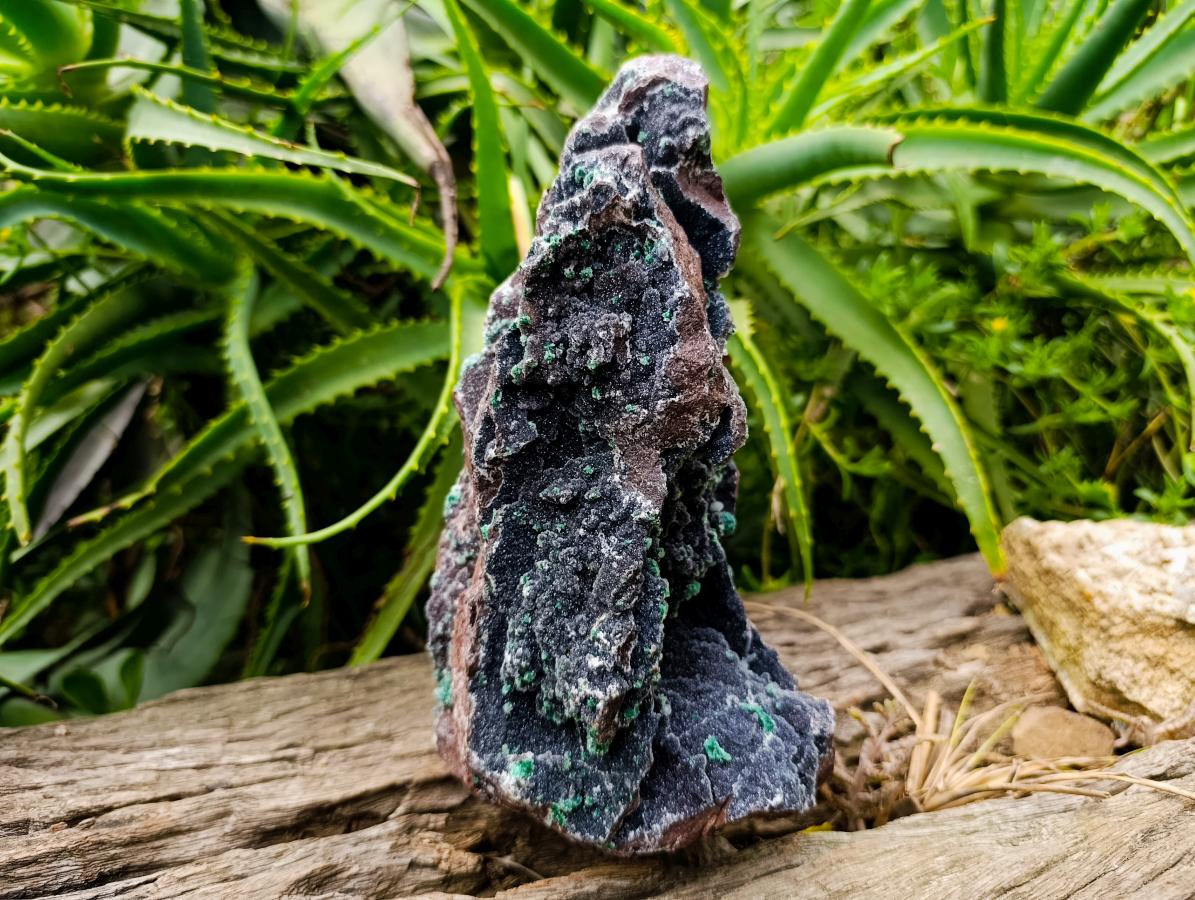 Natural Drusy Quartz Coated Ball Malachite On Dolomite Specimen x 1 From Mindingi Mine, Kambove, Congo