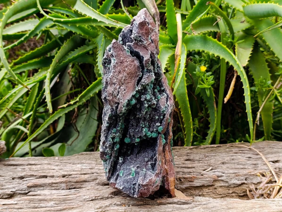 Natural Drusy Quartz Coated Ball Malachite On Dolomite Specimen x 1 From Mindingi Mine, Kambove, Congo