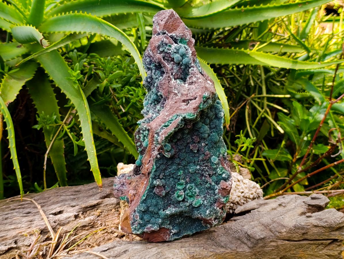 Natural Drusy Quartz Coated Ball Malachite On Dolomite Specimen x 1 From Mindingi Mine, Kambove, Congo