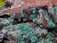 Natural Drusy Quartz Coated Ball Malachite On Dolomite Specimen x 1 From Mindingi Mine, Kambove, Congo