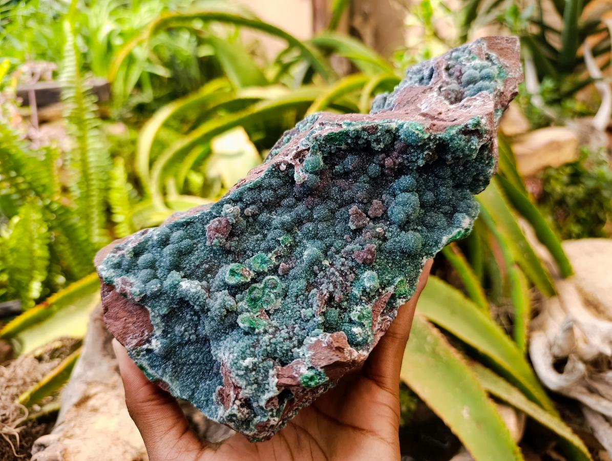 Natural Drusy Quartz Coated Ball Malachite On Dolomite Specimen x 1 From Mindingi Mine, Kambove, Congo