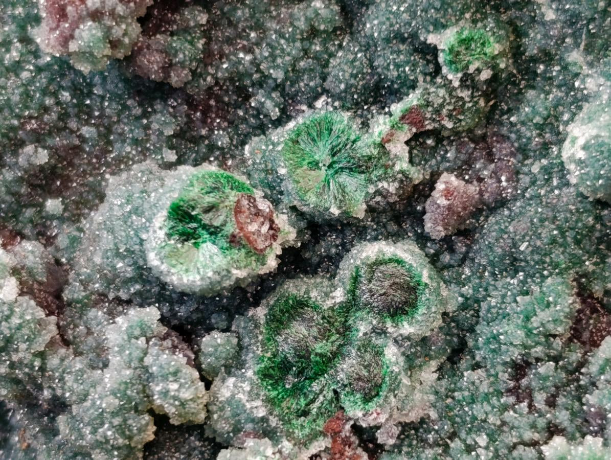 Natural Drusy Quartz Coated Ball Malachite On Dolomite Specimen x 1 From Mindingi Mine, Kambove, Congo