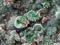 Natural Drusy Quartz Coated Ball Malachite On Dolomite Specimen x 1 From Mindingi Mine, Kambove, Congo