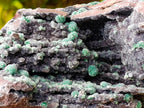 Natural Drusy Quartz Coated Ball Malachite On Dolomite Specimen x 1 From Mindingi Mine, Kambove, Congo