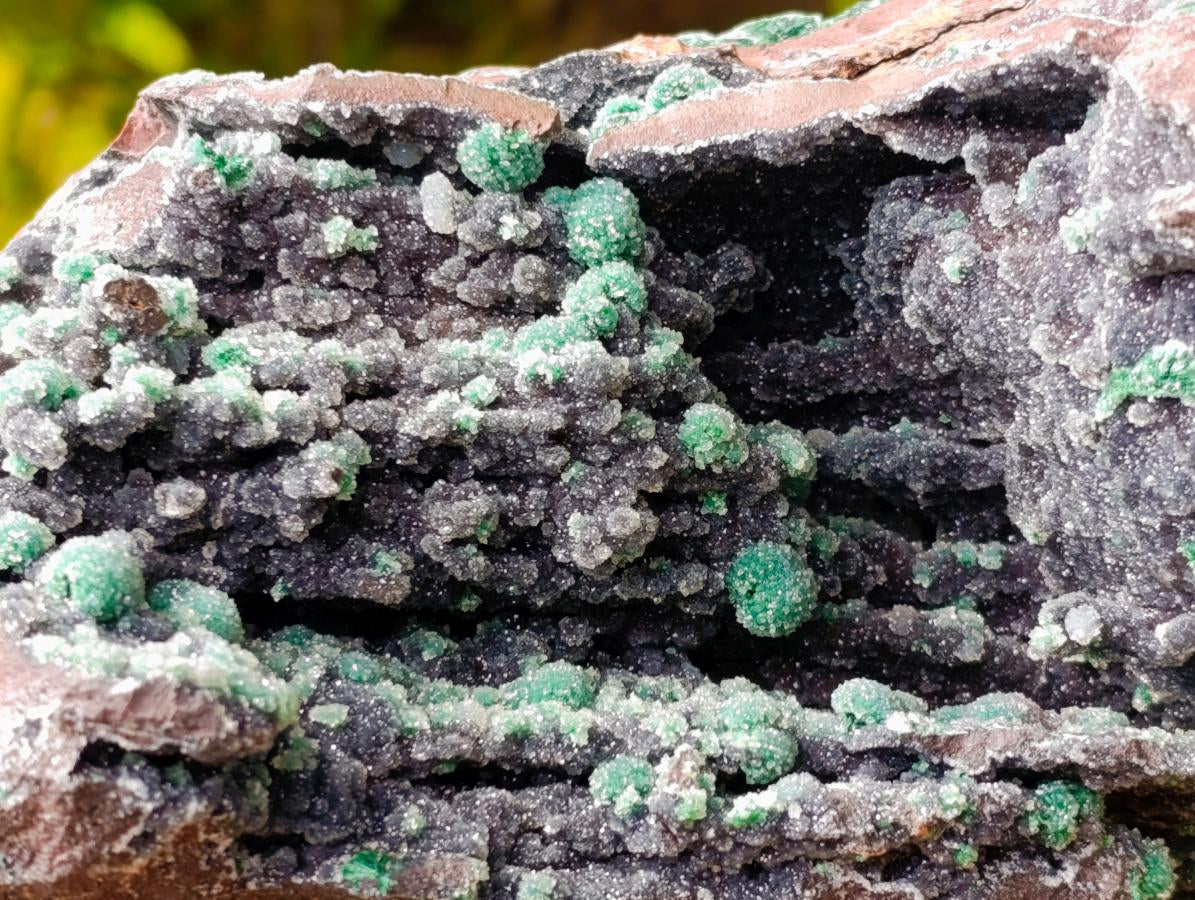 Natural Drusy Quartz Coated Ball Malachite On Dolomite Specimen x 1 From Mindingi Mine, Kambove, Congo