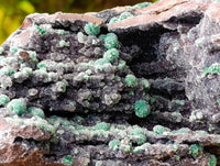 Natural Drusy Quartz Coated Ball Malachite On Dolomite Specimen x 1 From Mindingi Mine, Kambove, Congo