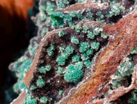 Natural Drusy Quartz Coated Ball Malachite On Dolomite Specimen x 1 From Mindingi Mine, Kambove, Congo