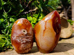 Polished Flower Agate Standing Free Forms x 2 From Antsahalova, Madagascar