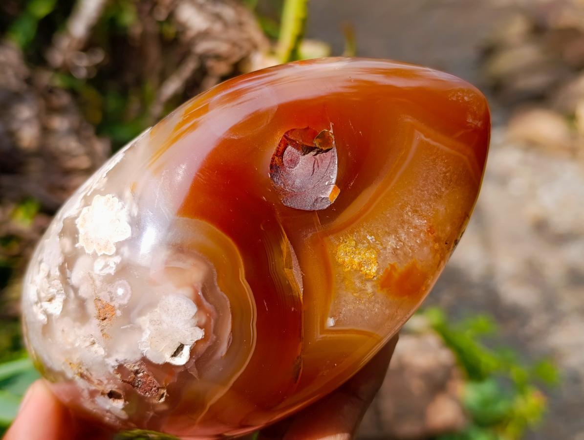 Polished Flower Agate Standing Free Forms x 2 From Antsahalova, Madagascar