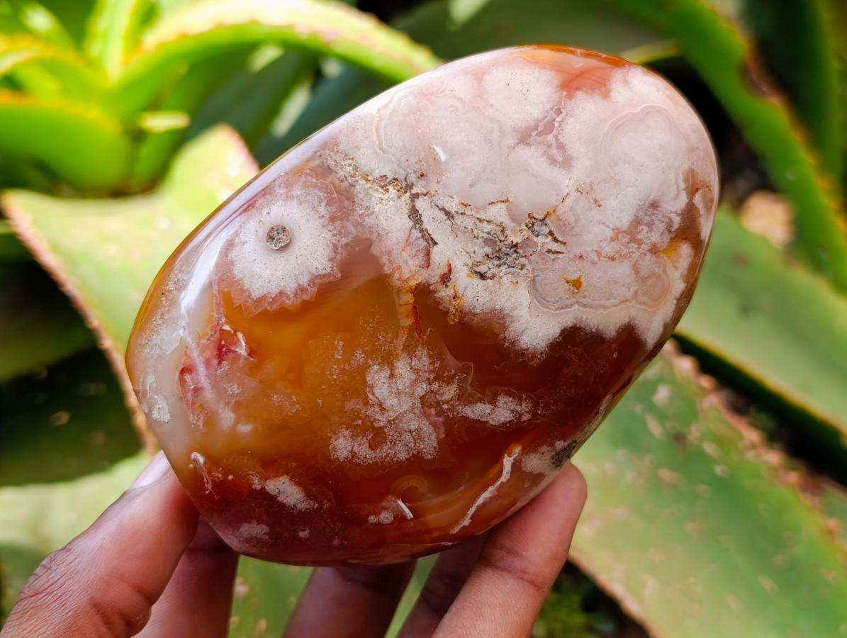 Polished Flower Agate Standing Free Forms x 2 From Antsahalova, Madagascar