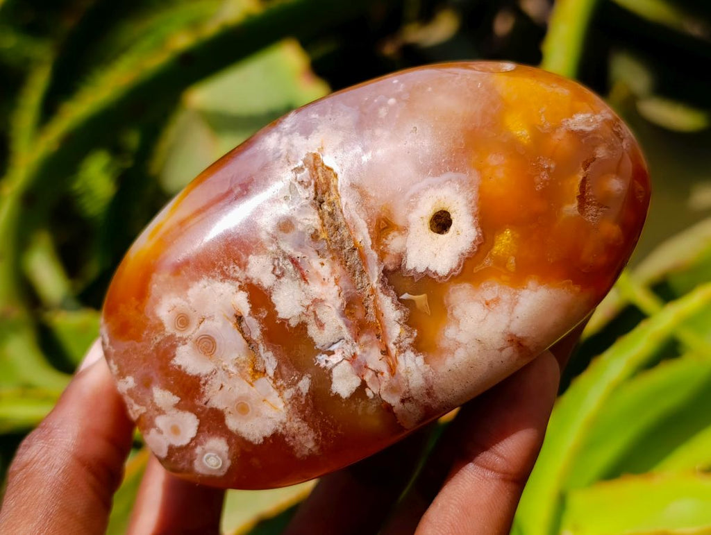 Polished Flower Agate Standing Free Forms x 2 From Antsahalova, Madagascar