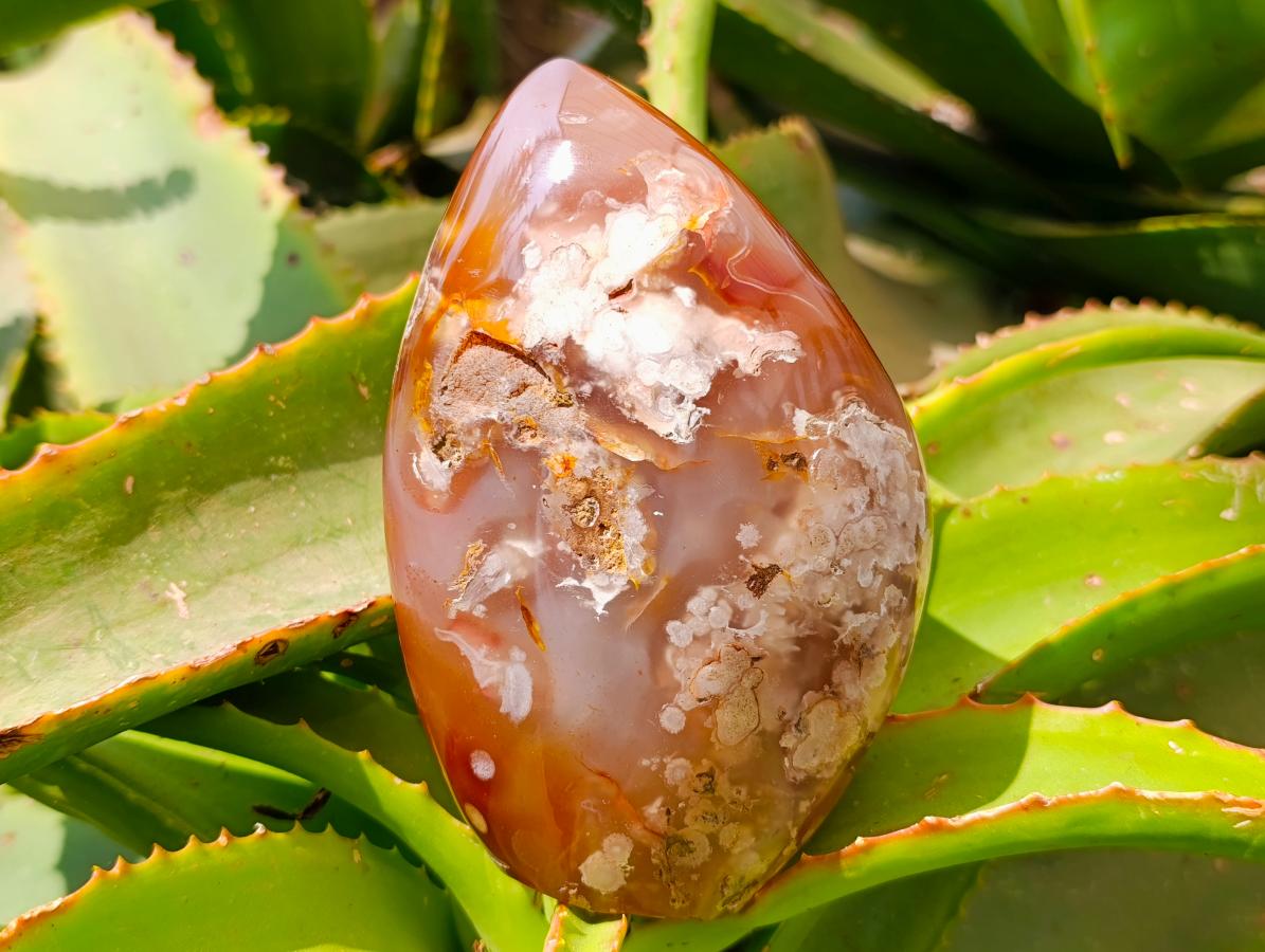 Polished Flower Agate Standing Free Forms x 2 From Antsahalova, Madagascar