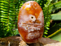 Polished Flower Agate Standing Free Forms x 2 From Antsahalova, Madagascar