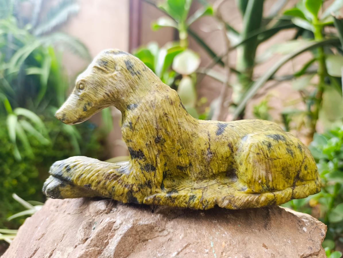 Hand Made Mixed Collie and Badger Carvings x 2 From Zimbabwe