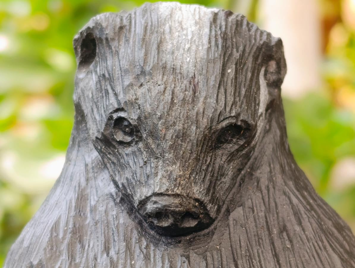 Hand Made Mixed Collie and Badger Carvings x 2 From Zimbabwe