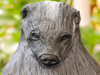 Hand Made Mixed Collie and Badger Carvings x 2 From Zimbabwe