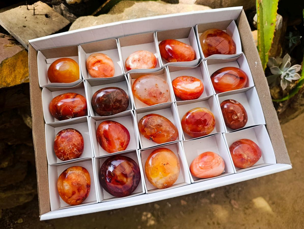 Polished Carnelian Agate Gemstone Galets x 20 From Madagascar