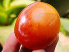 Polished Carnelian Agate Gemstone Galets x 20 From Madagascar