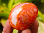 Polished Carnelian Agate Gemstone Galets x 20 From Madagascar