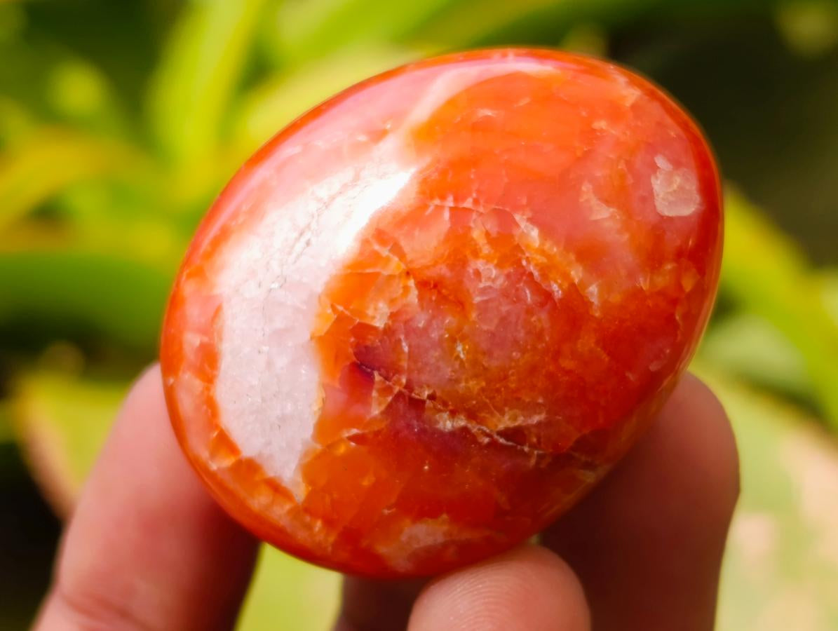 Polished Carnelian Agate Gemstone Galets x 20 From Madagascar