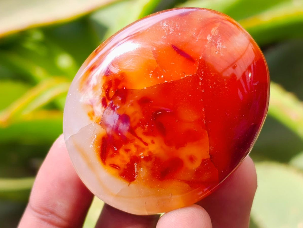 Polished Carnelian Agate Gemstone Galets x 20 From Madagascar