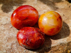 Polished Carnelian Agate Gemstone Galets x 20 From Madagascar